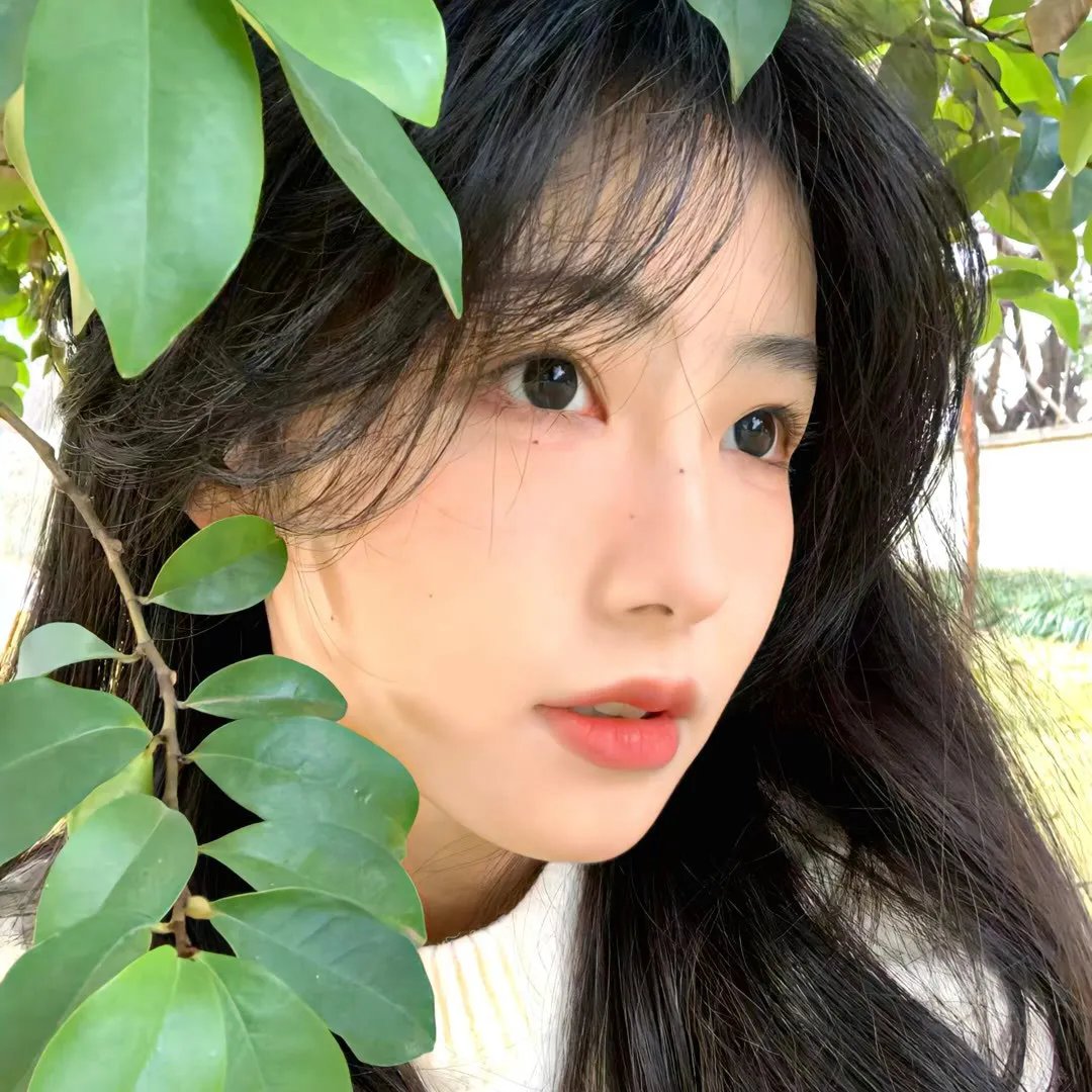 绝岭惊魂